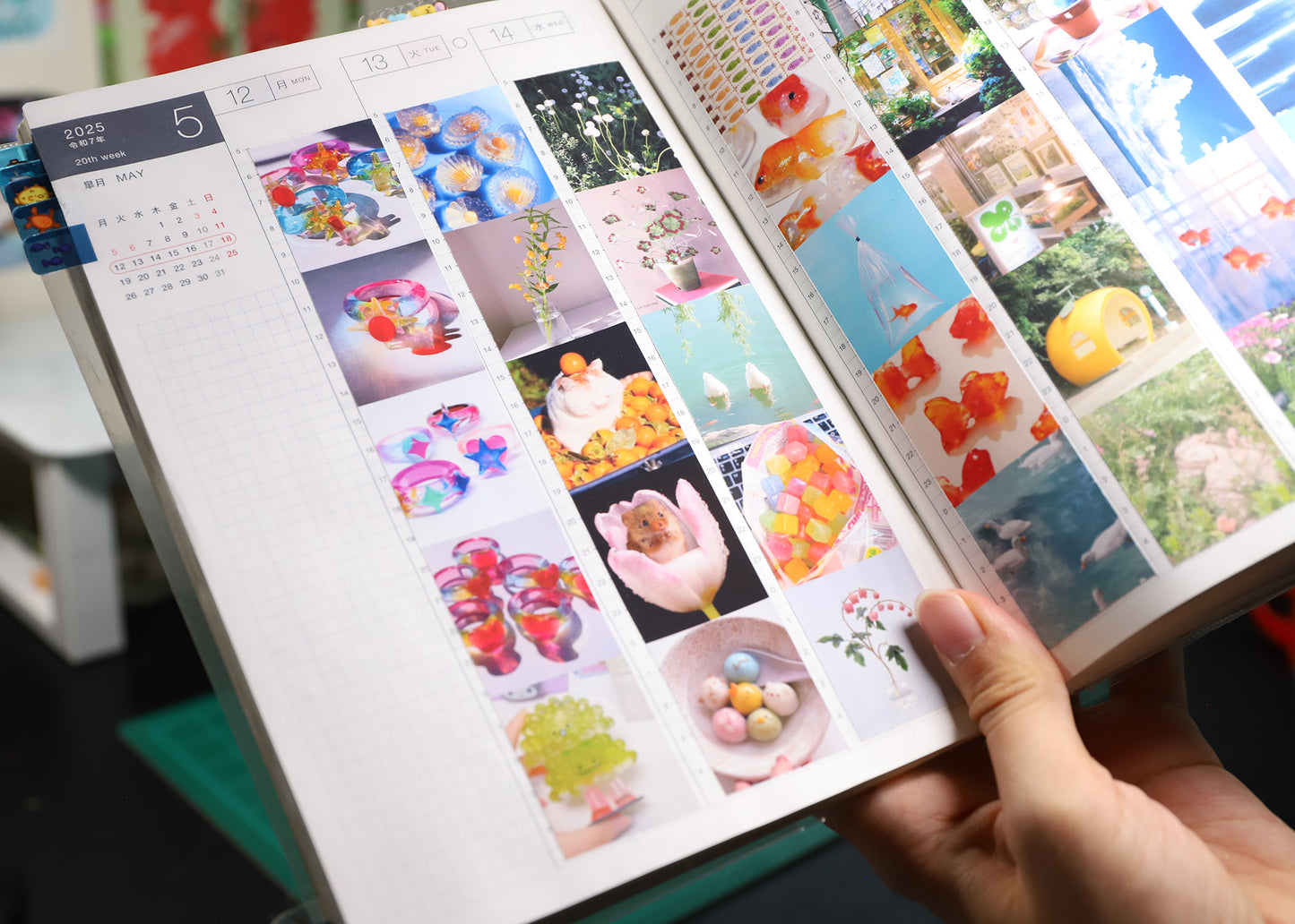 Hobonichi Cousin A5 Photo Templates