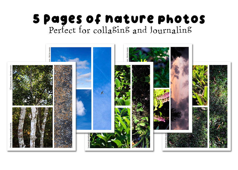 Back To Nature Scrapbooking Paper - Print At Home