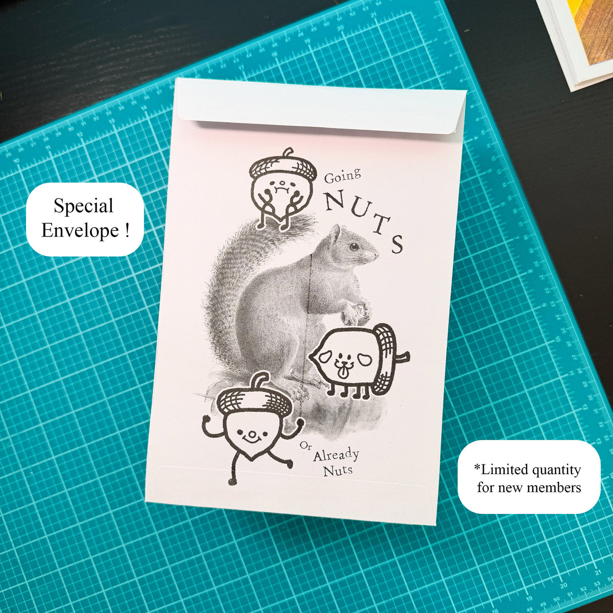 The Lost & Found Mail Club