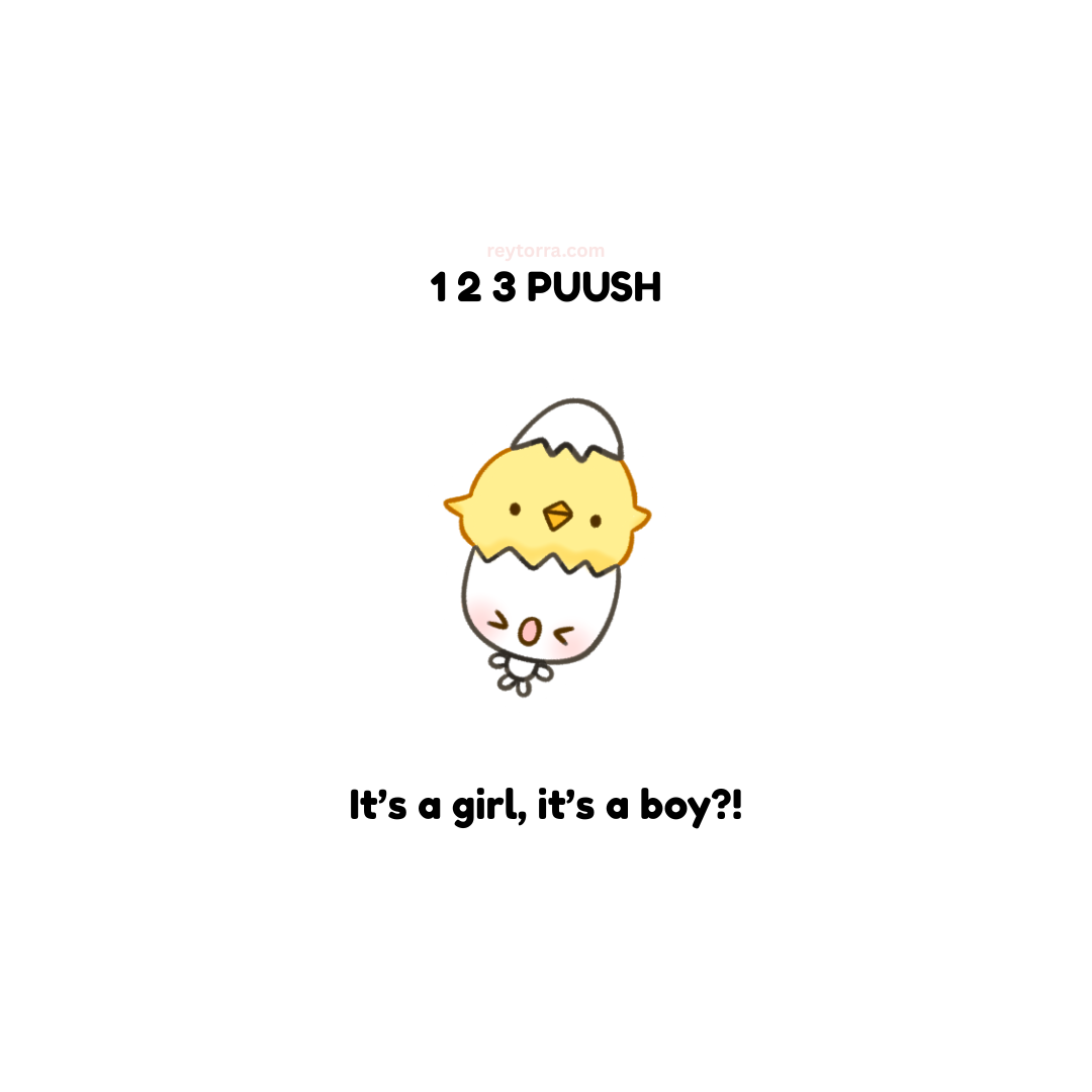 Cartoon chick in an eggshell with text '12 3 PUUSH' and 'It's a girl, it's a boy?!' on a white background.