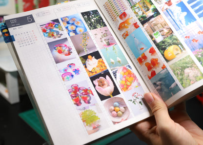Hobonichi Cousin A5 Photo Templates