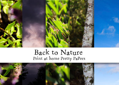 Back To Nature Scrapbooking Paper - Print At Home