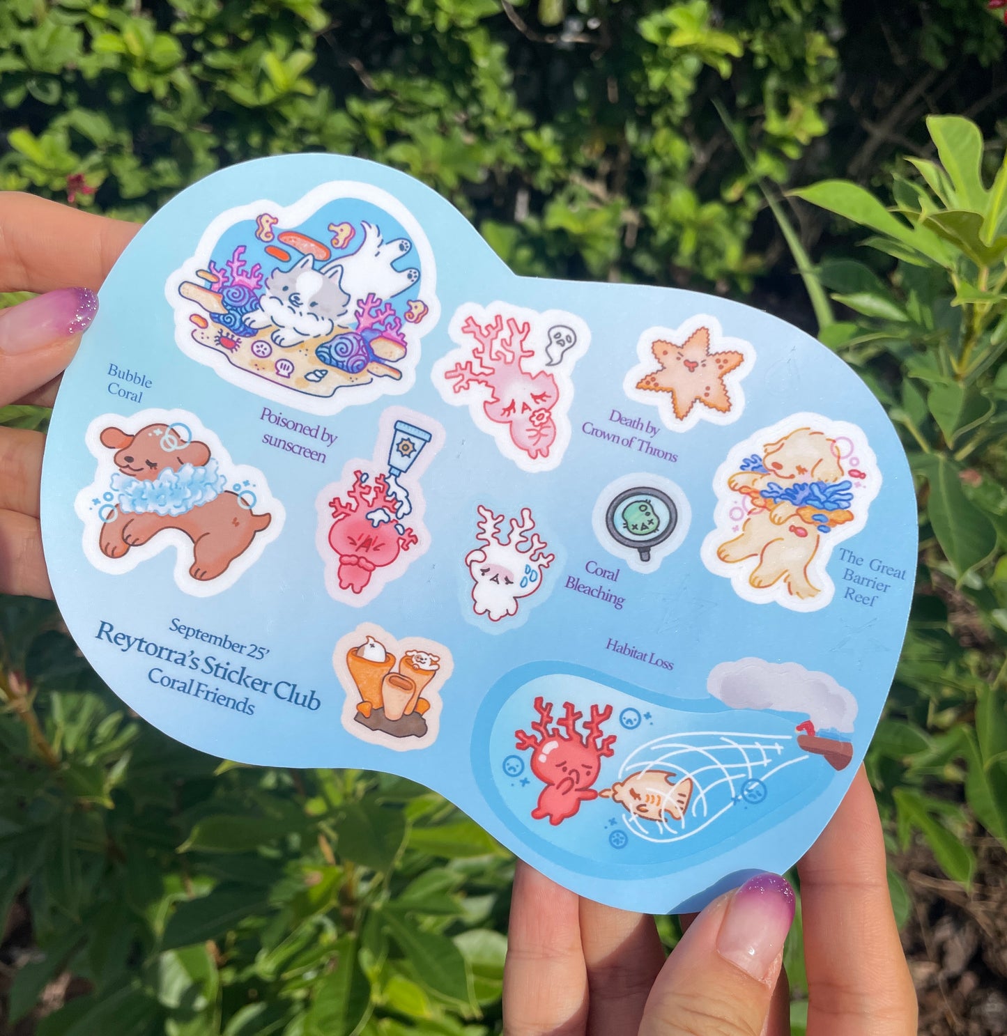 Monthly Sticker Club