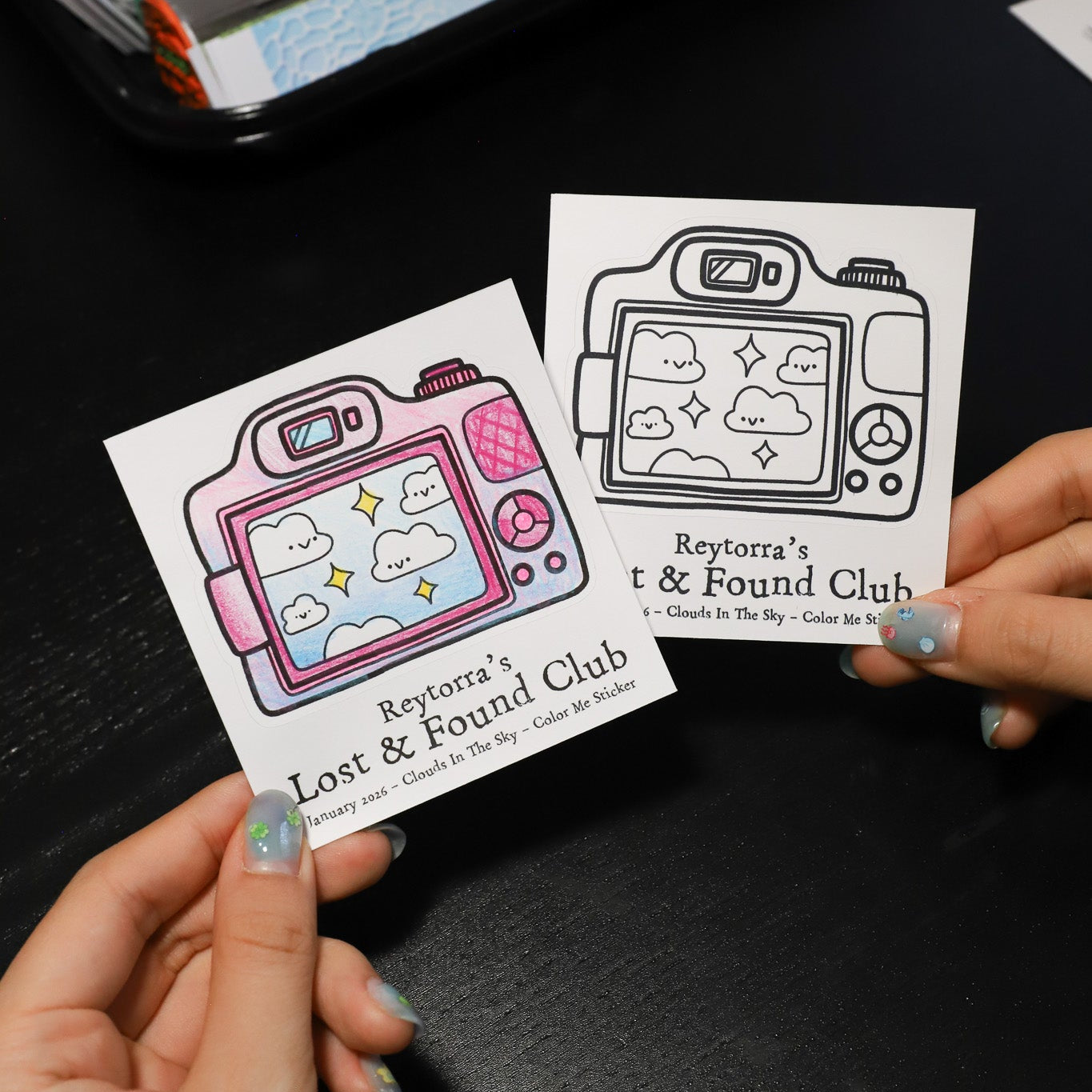 Two stickers with camera designs held by hands on a dark surface