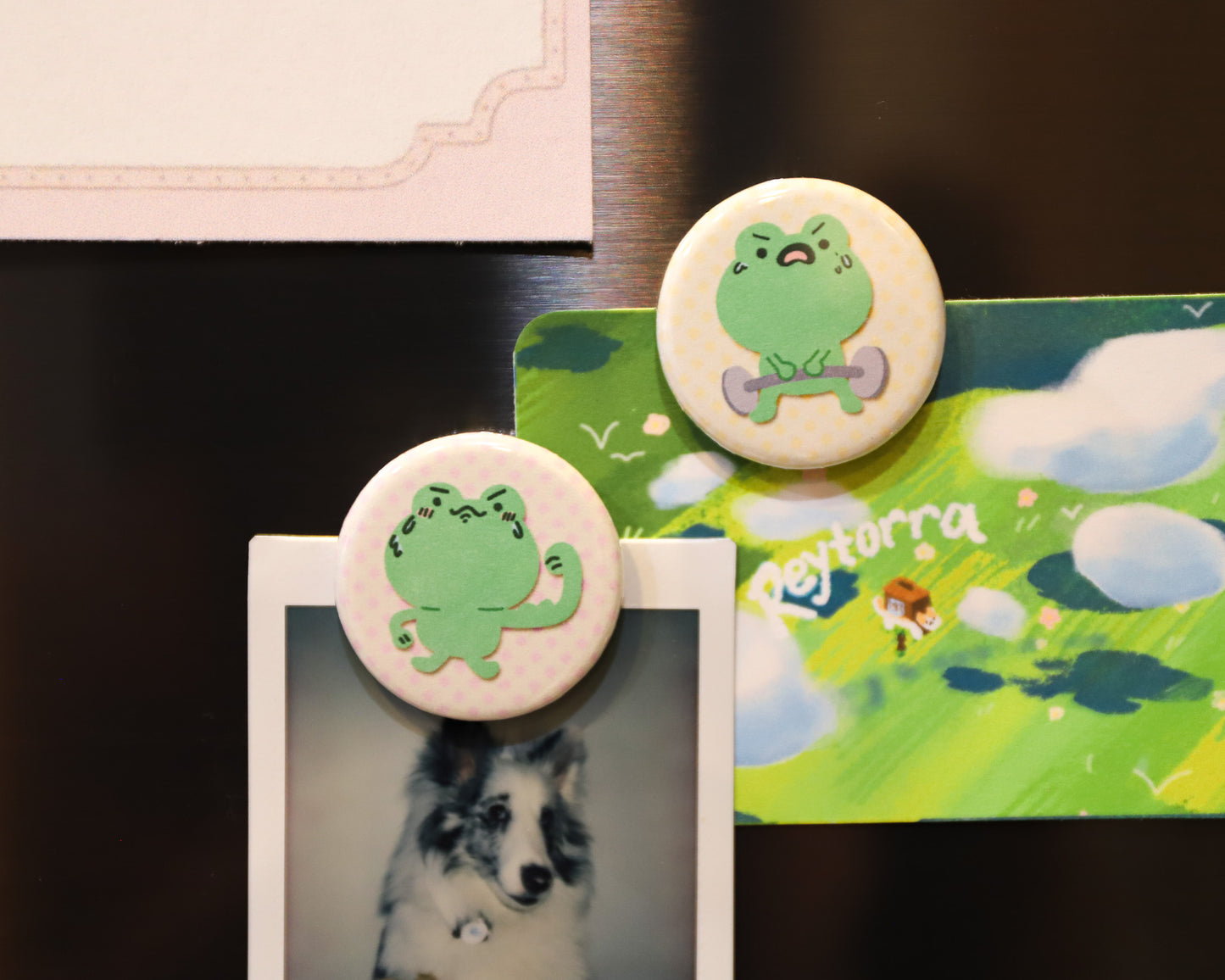 Gym Frog Magnets - 6 to Collect