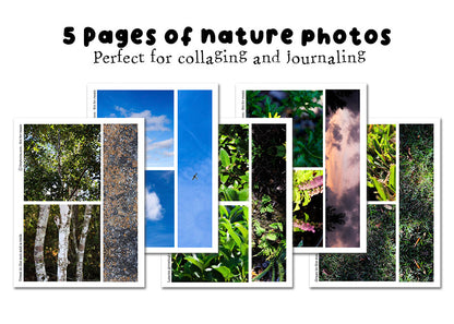 Back To Nature Scrapbooking Paper - Print At Home