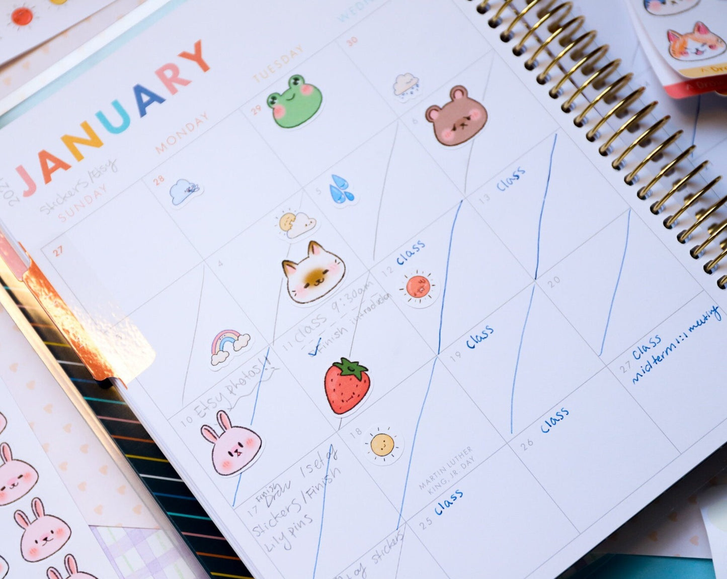 Weather Tracker Sticker Sheet - Journaling